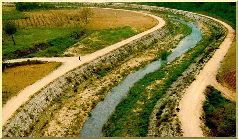 Example of vegetated gabion channel