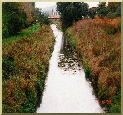 Shrub flood plains