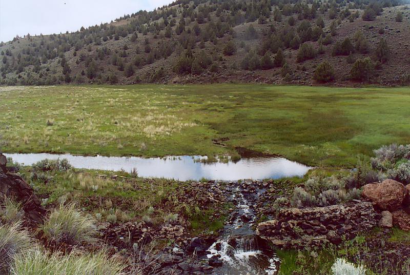 Camp Creek, near Prineville, Oregon.