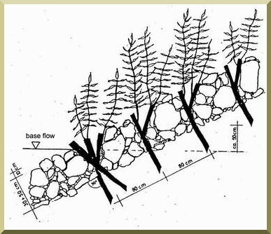 Schematic drawing