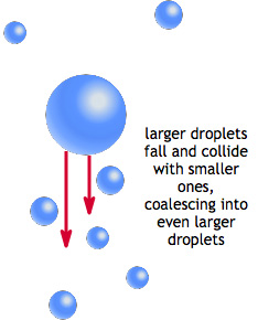 coalescence process