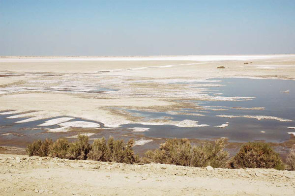 Evaporation basin in Tulare Lake basin, California