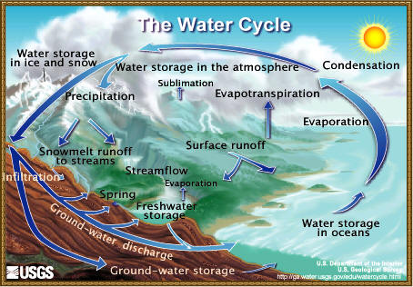 the water cycle