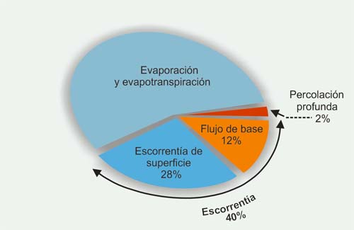  Global annual components of precipitation