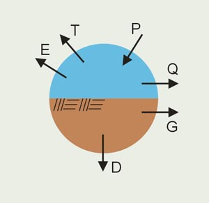 The basin's  mass balance