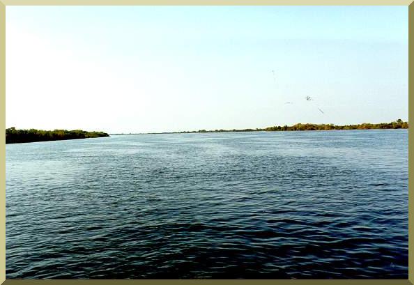 The Upper Paraguay River at Porto Esperana, Mato Grosso do Sul, Brazil.