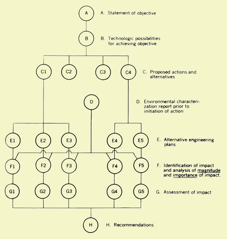 Flow chart for steps in the development of actions programs