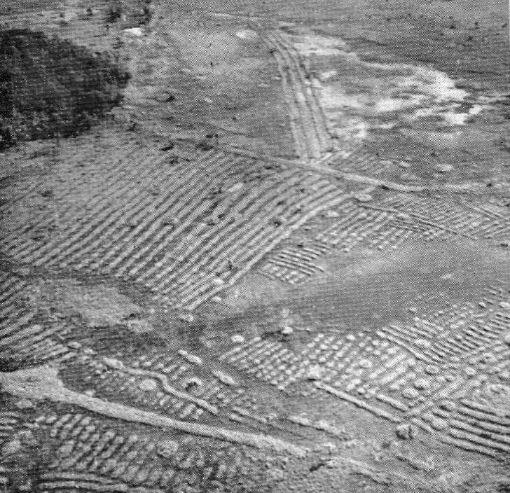 Aerial view of the camellones of the Llanos de Mojos, Beni, Bolivia