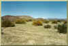 Riparian vegetation in the entrance to the valley