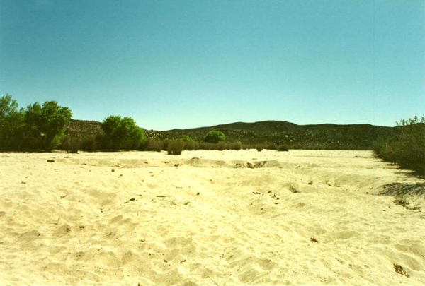 Ojos Negros, Baja California