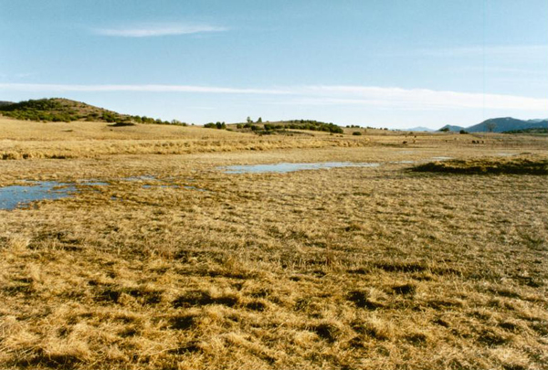 sandmining, Ojos Negros, Baja California