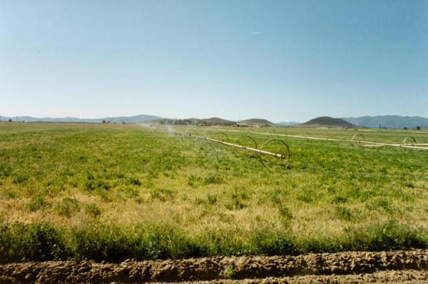 sandmining, Ojos Negros, Baja California