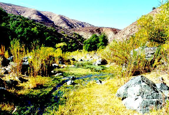 Outlet of Ojos Negros basin, Baja California, Mexico (1999). 