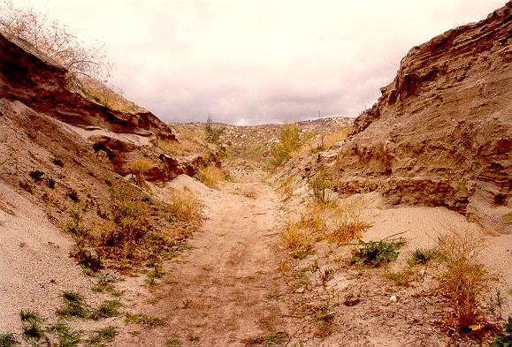 View of Joe Bill Canyon, in Tecate Creek, Baja California, Mexico