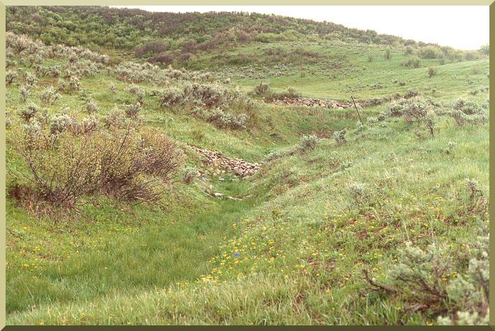 Two of more than one hundred check dams used by the U.S. Forest Service to restore and revegetate gullies in Alkali Creek, Colorado,