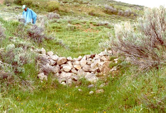 One of more than 130 check dams built by the U.S. Forest Service in the Alkali Creek watershed, Colorado, in the 1960s