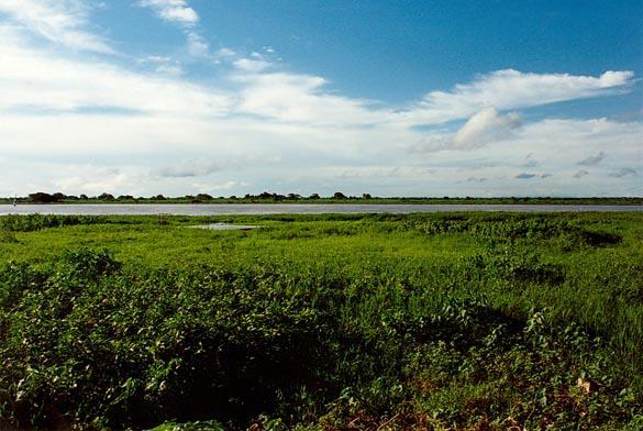 Rio Paraguay at Corumba, Mato Grosso do Sul, Brazil