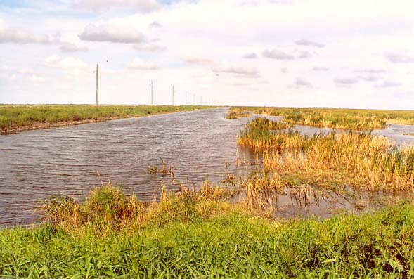 Stormwater Treatment Area (STA) 3/4, Everglades Agricultural Area, South Florida.