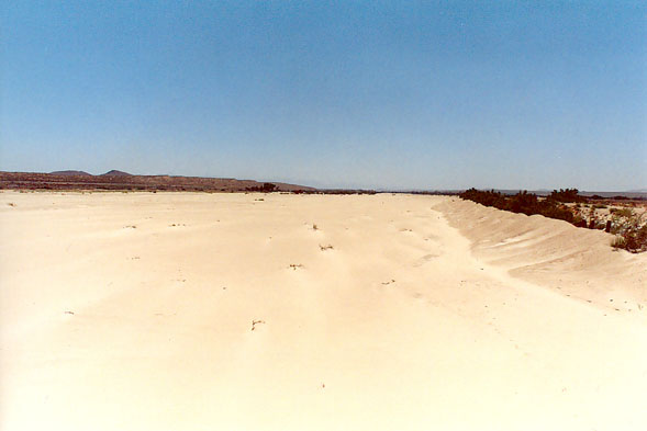 The Mohave river upstream of Indian Trail, near Helendale, California.  