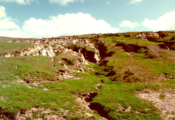 Headwaters of Los Laureles Canyon, Tijuana, Baja California, Mexico