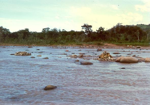 Pirai river. 