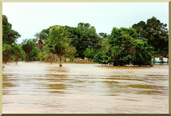 Avenida en el Ro Cuiaba, Mato Grosso, Brasil, el 10 de enero de 1995