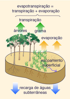 Evapotranspiration