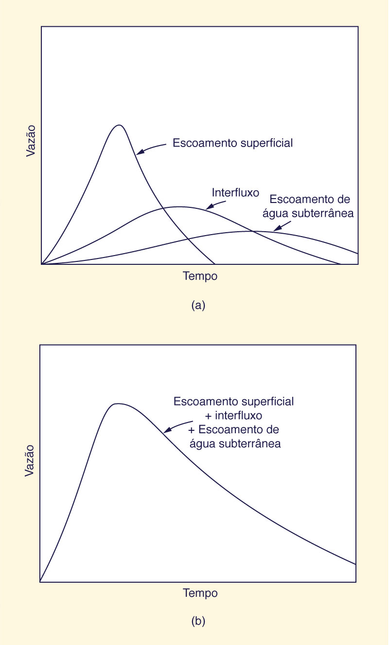 Components of runoff hydrograph