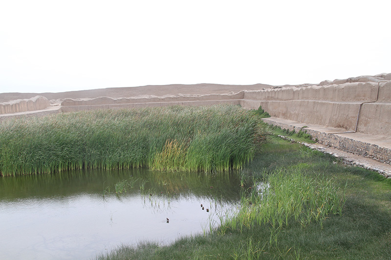 Laguna en Chan Chan.