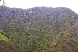 Fiord habitat, La Leche river basin.