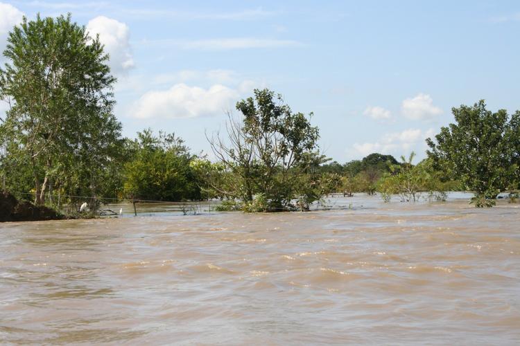 A braided channel: Guatiquia river, Meta department, Colombia