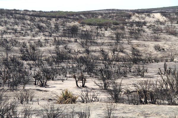 
Aftermath of the Shockey fire, Tierra del Sol, California, on September 27, 2012. 