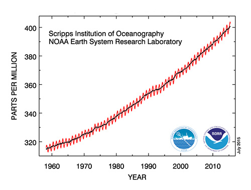 Atmospheric concentration of carbon dioxide measured at the Mauna Loa Observatory