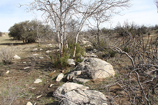 Boxed spring in the Heath Ranch