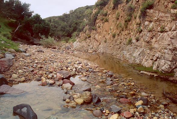 Gila river, Arizona