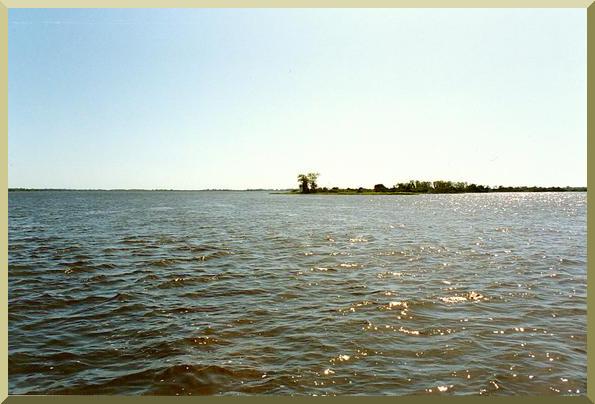 Upper Paraguay river, near Porto Murtinho, Mato Grosso, Brazil (photo by the author, 1993).