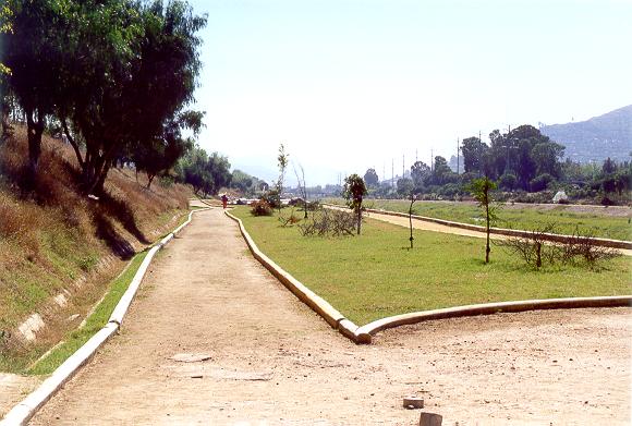 View of the flood plain on the left bank of Rio Atoyac.