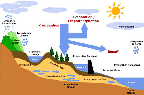 Global water balance