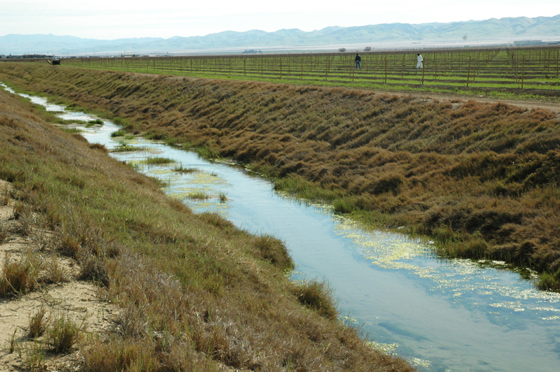 sustainable_runoff_for_basin_salt_balanc