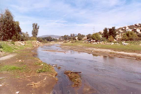 tecate creek