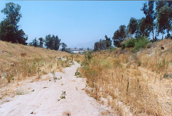 RP-6 site looking downstream. At this site, the streambed is extremely permeable