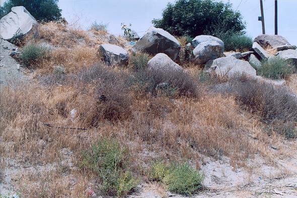 River bank in the vicinity of RP-5.