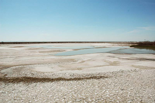 South evaporation pond, Tulare Lake Basin, California.