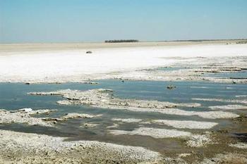 Evaporation pond in Tulare Lake basin, California