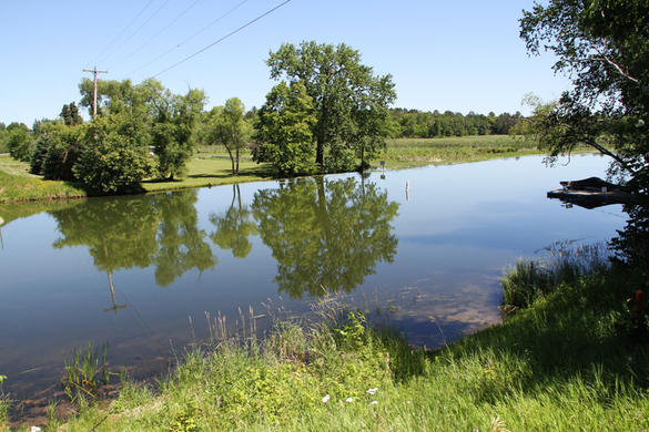 Mississippi river near Bemidji, Minnesota